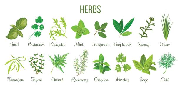 Herbal Therapeutics